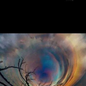 Meet your Posher, Edward